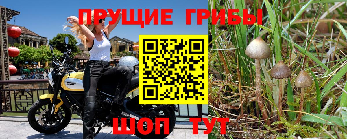 Симферополь  Псилоцибиновые грибы ЛСД  Вход с VPN 