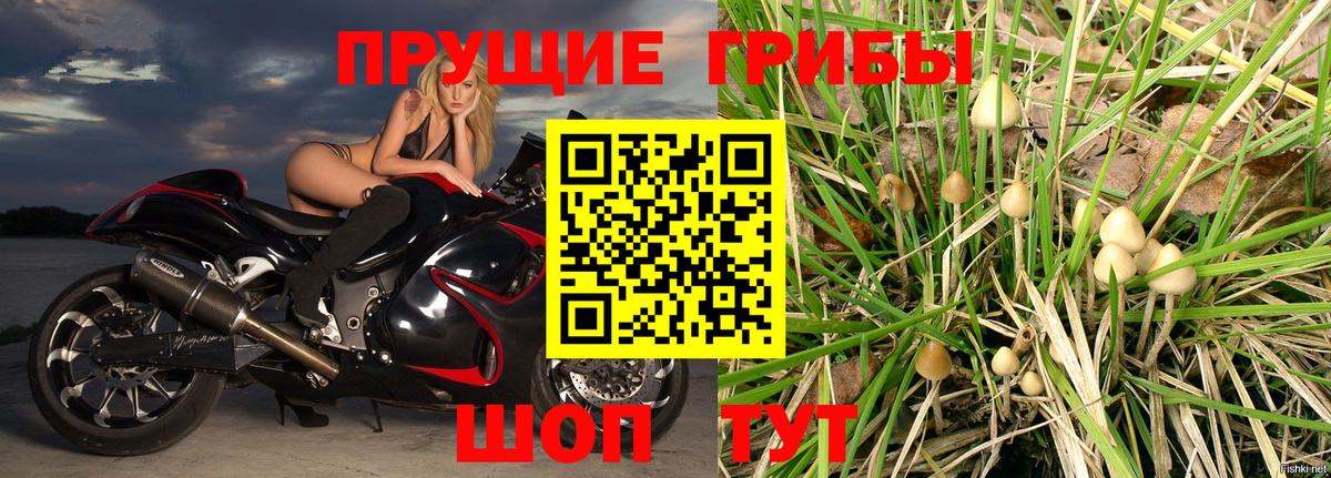 Псилоцибиновые грибы мицелий Симферополь